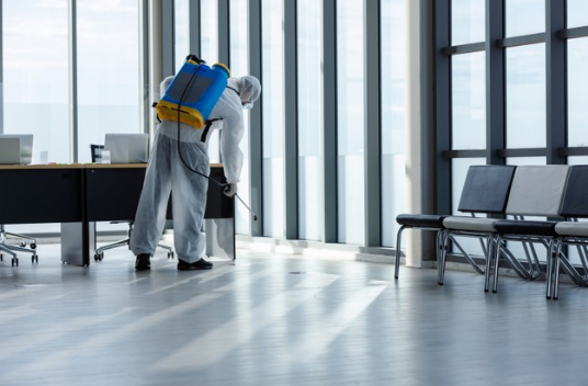 Pest Control in kalba &sharjah